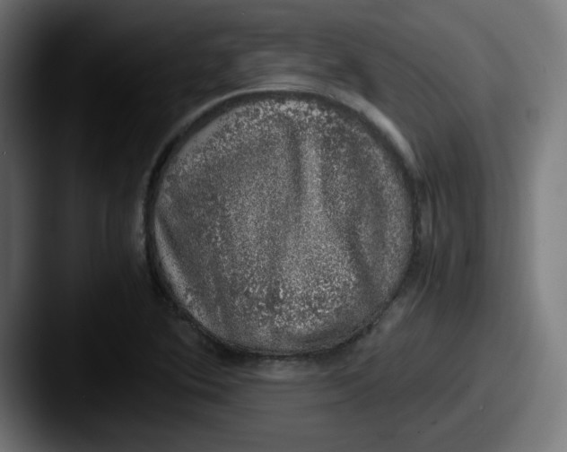 X0000087601364200705181230