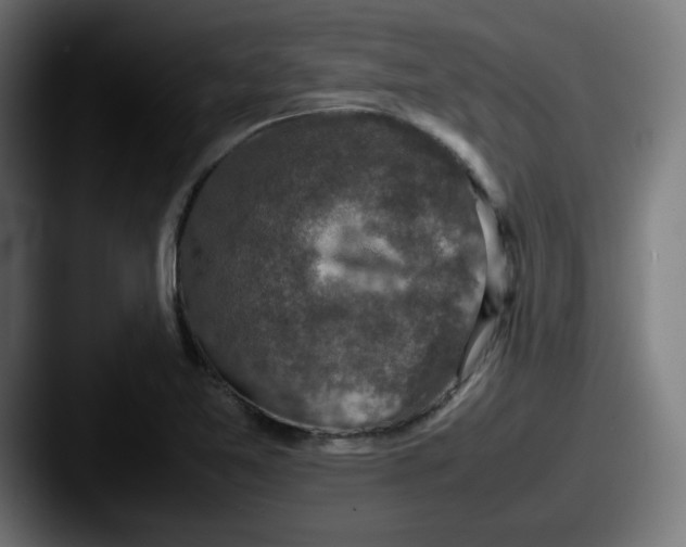 X0000087601365200705181230