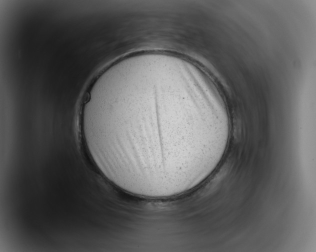 X0000087601366200705181230