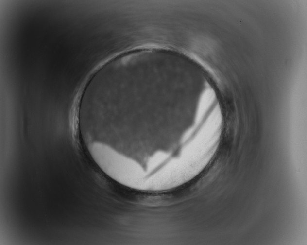 X0000087601367200705181229