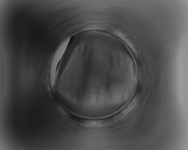 X0000087601369200705181229