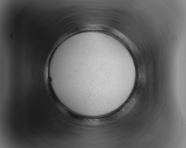 X0000087601370200705181229