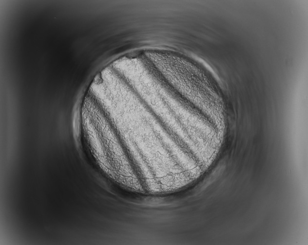 X0000087601371200705181229
