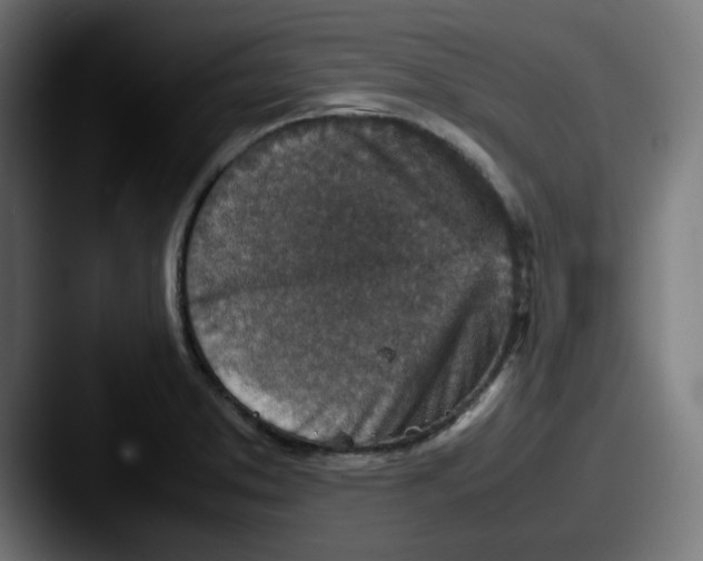 X0000087601373200705181229