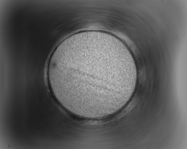 X0000087601374200705181229