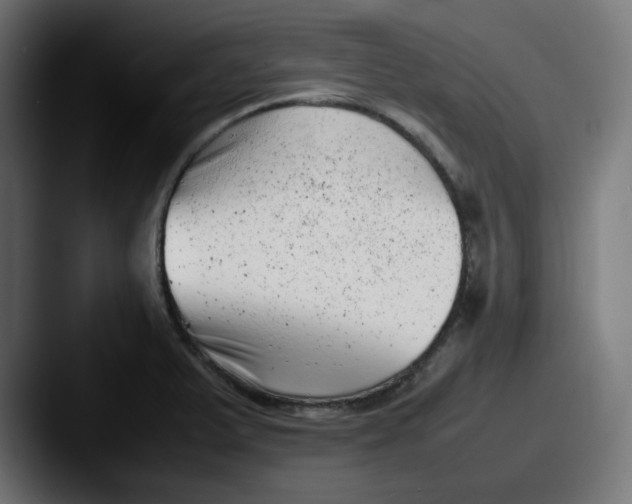 X0000087601375200705181229