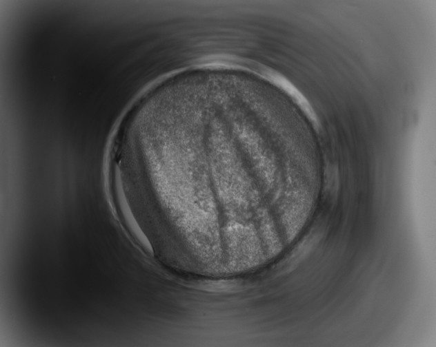 X0000087601376200705181229