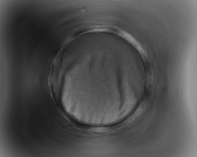X0000087601377200705181229