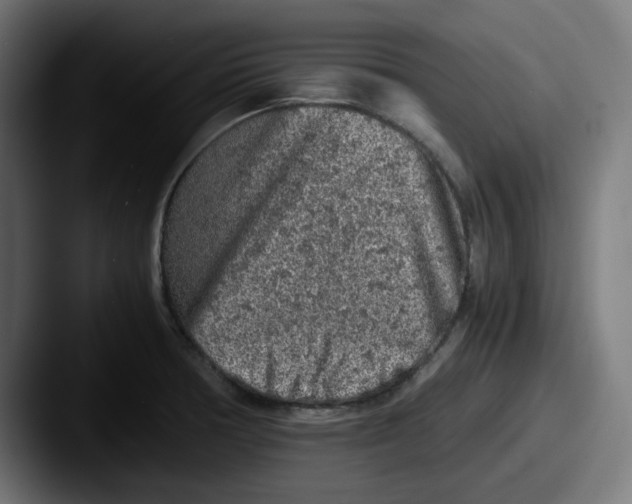 X0000087601378200705181229