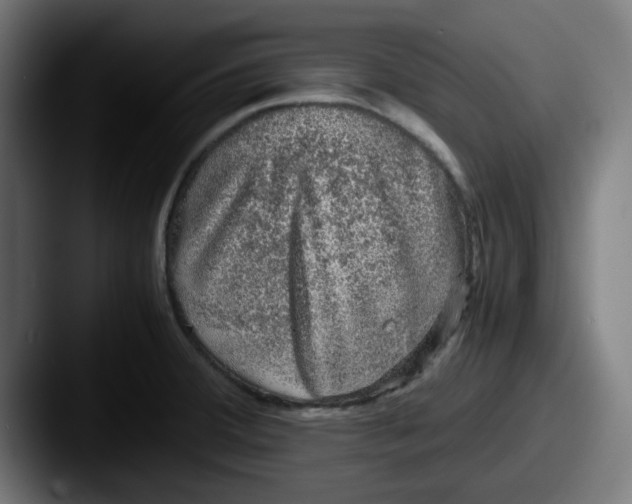 X0000087601380200705181229