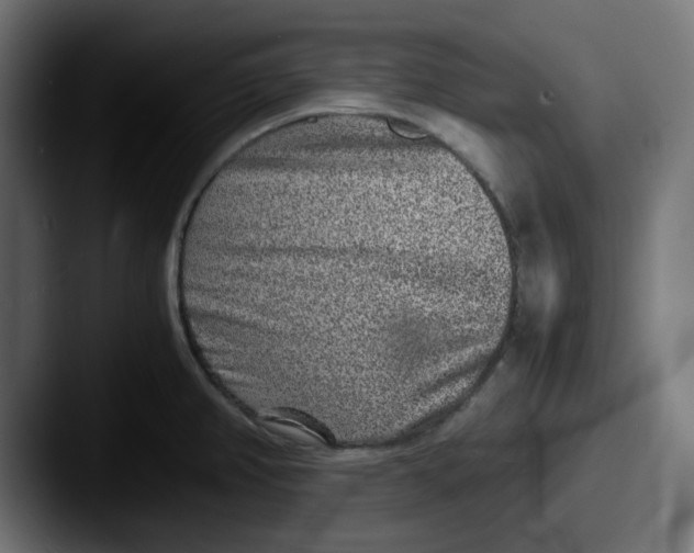 X0000087601382200705181229