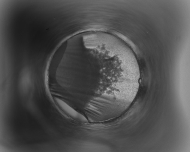 X0000087601383200705181229