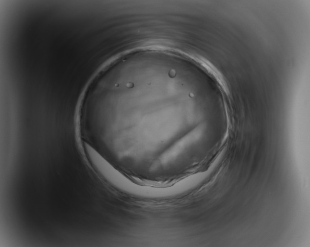 X0000087601384200705181229