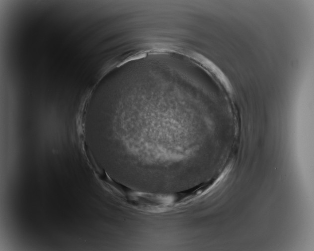 X0000087601385200705181229
