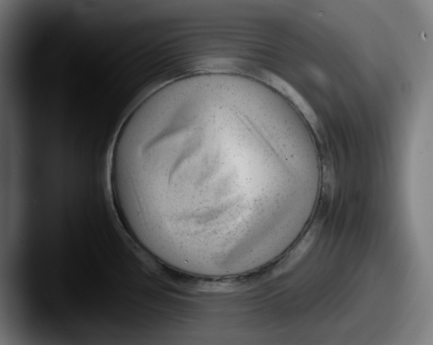 X0000087601386200705181229