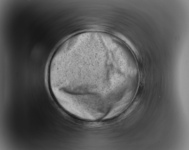 X0000087601387200705181229