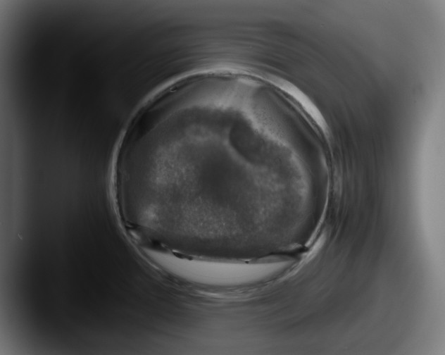 X0000087601388200705181229