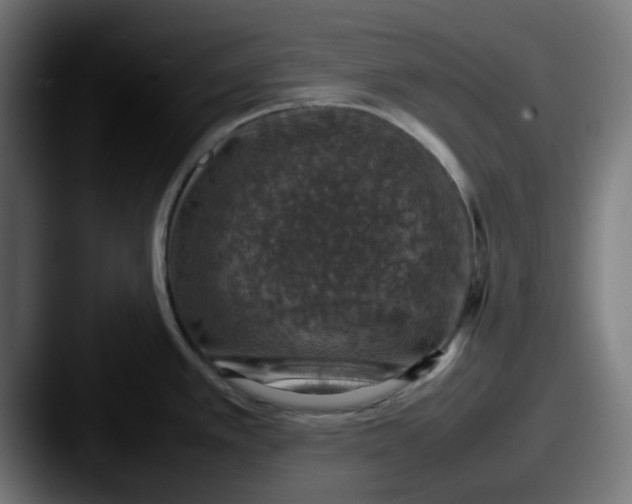 X0000087601389200705181229