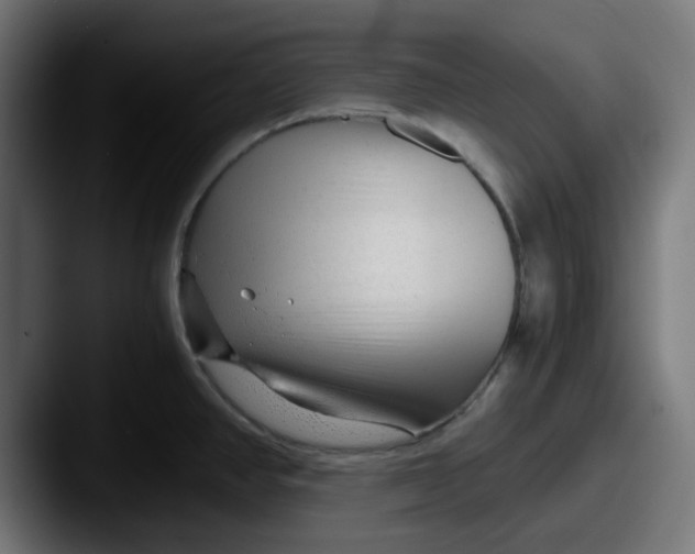 X0000087601390200705181229