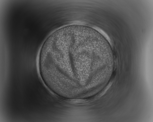 X0000087601391200705181229