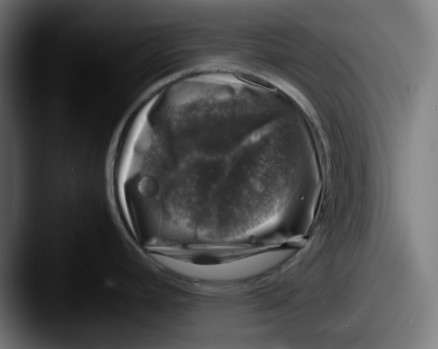 X0000087601392200705181229