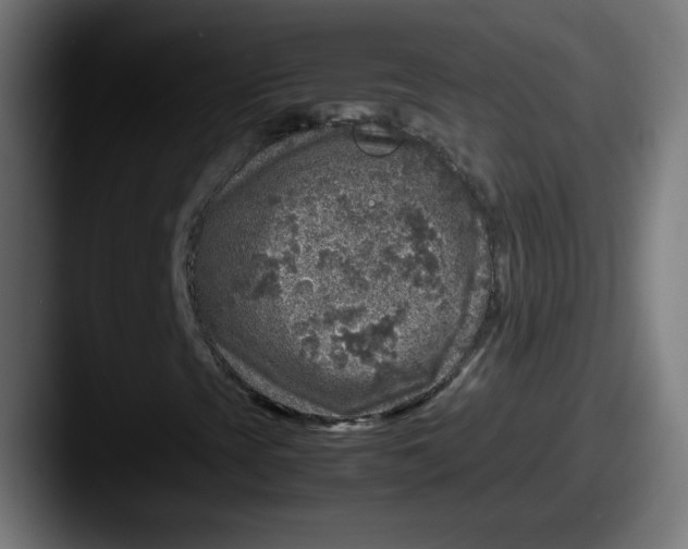 X0000087601393200705181229