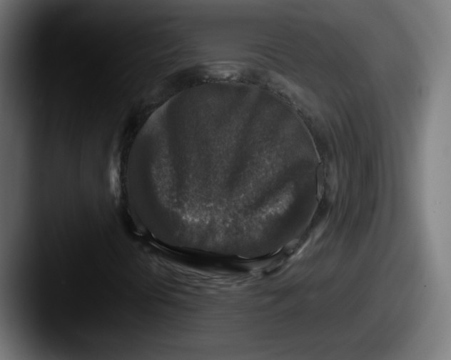 X0000087601394200705181229