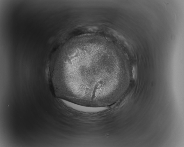 X0000087601395200705181229
