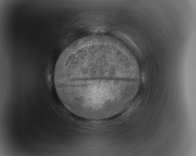 X0000087601396200705181229