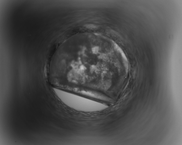 X0000087601397200705181229