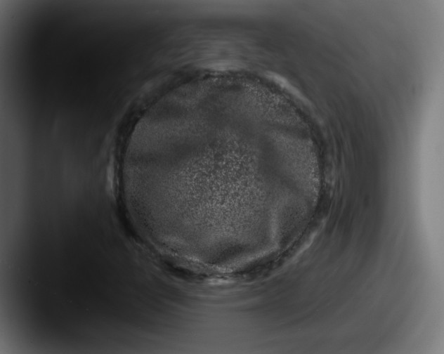 X0000087601398200705181229