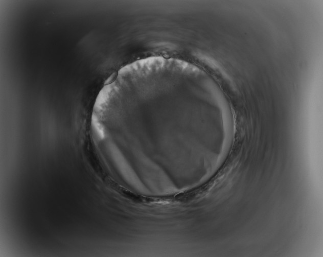 X0000087601399200705181229