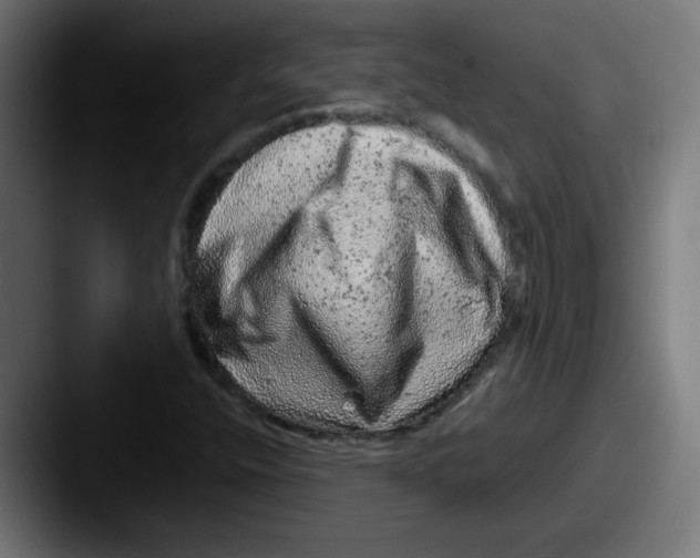 X0000087601400200705181229