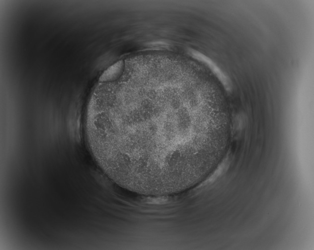 X0000087601403200705181229