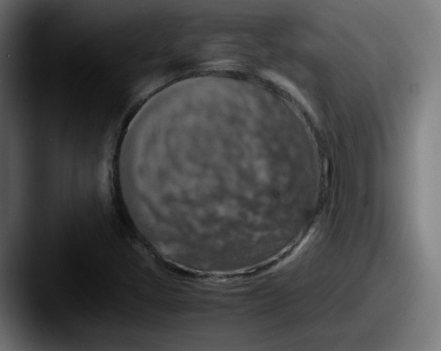 X0000087601405200705181229