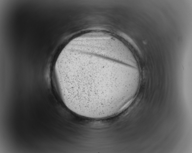 X0000087601408200705181229