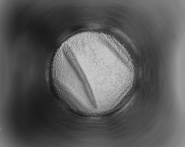 X0000087601409200705181229
