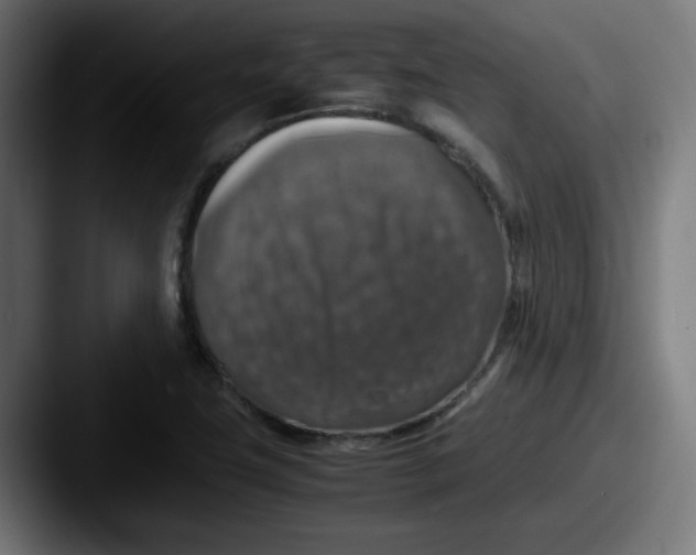 X0000087601411200705181229