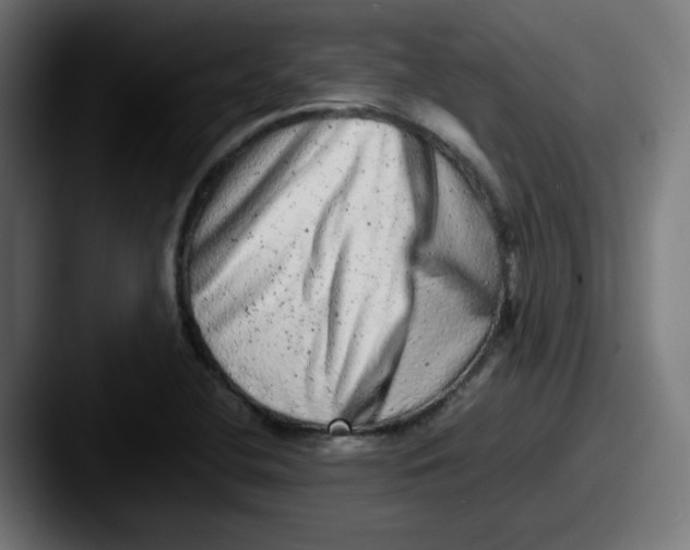 X0000087601412200705181229