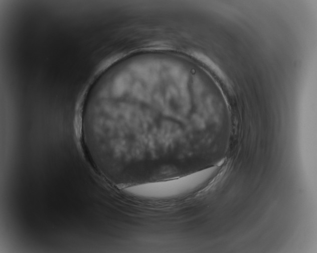 X0000087601413200705181229