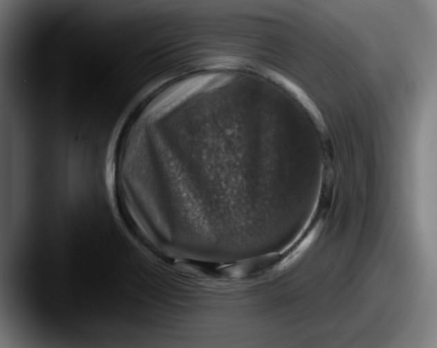 X0000087601418200705181229