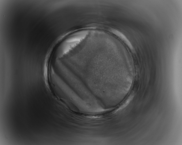 X0000087601419200705181229