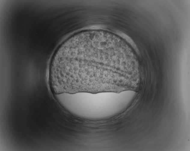 X0000087601420200705181229