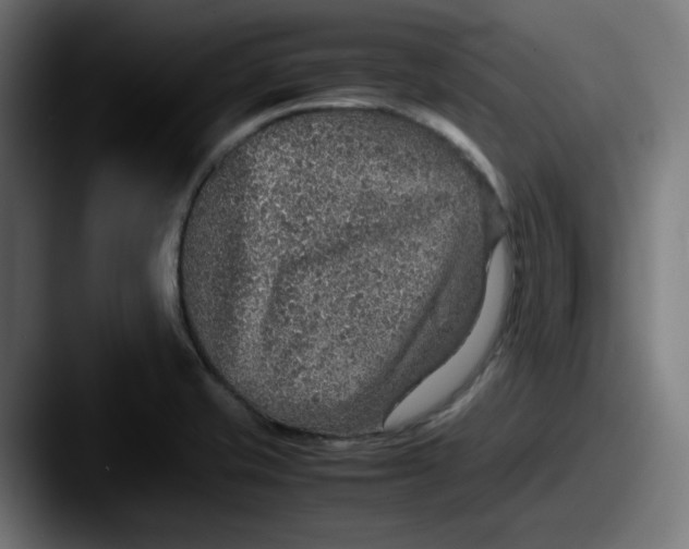 X0000087601421200705181229