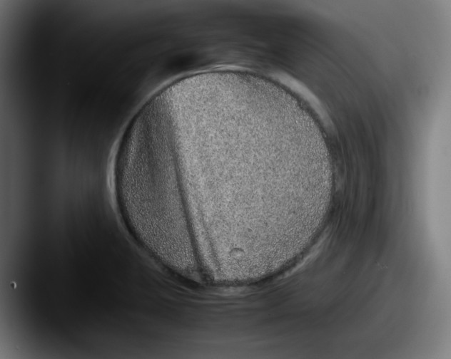 X0000087601423200705181229