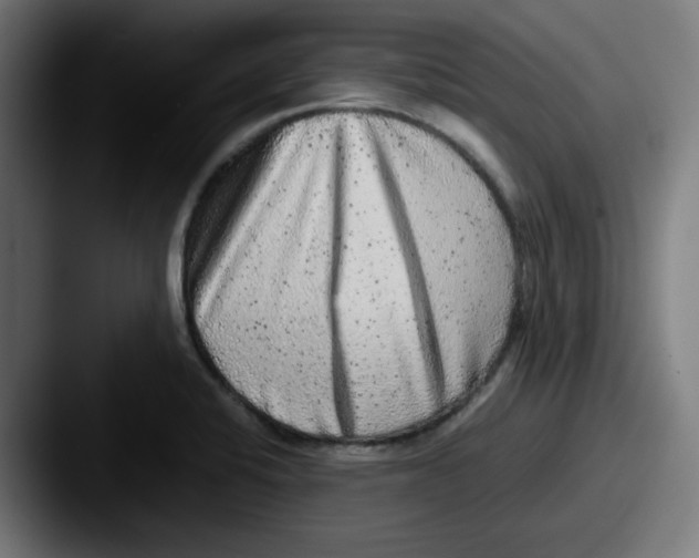 X0000087601424200705181229