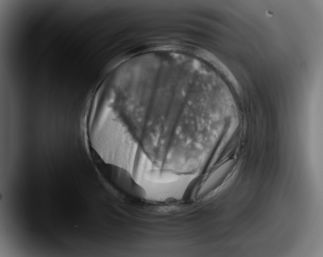 X0000087601425200705181229