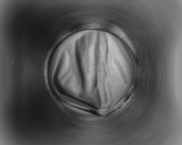 X0000087601426200705181229