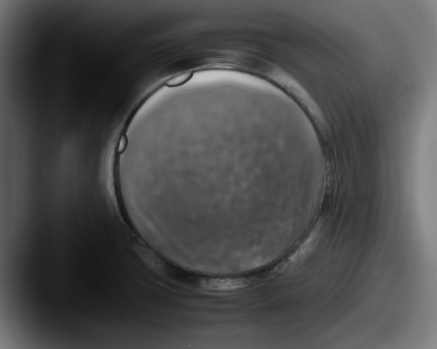 X0000087601427200705181229