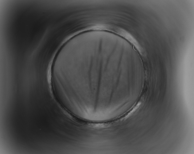 X0000087601428200705181229